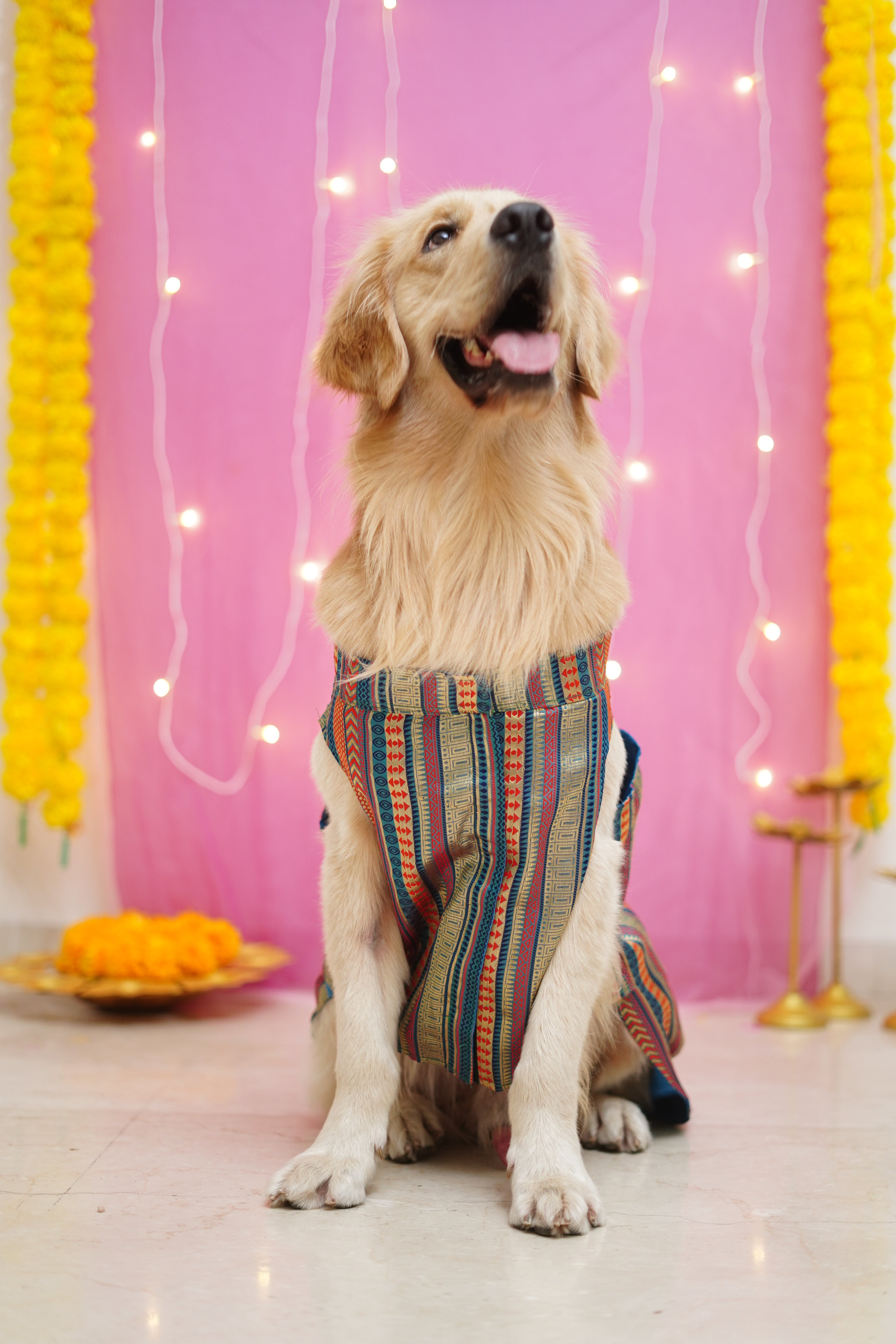 Blue brocade bandhgala