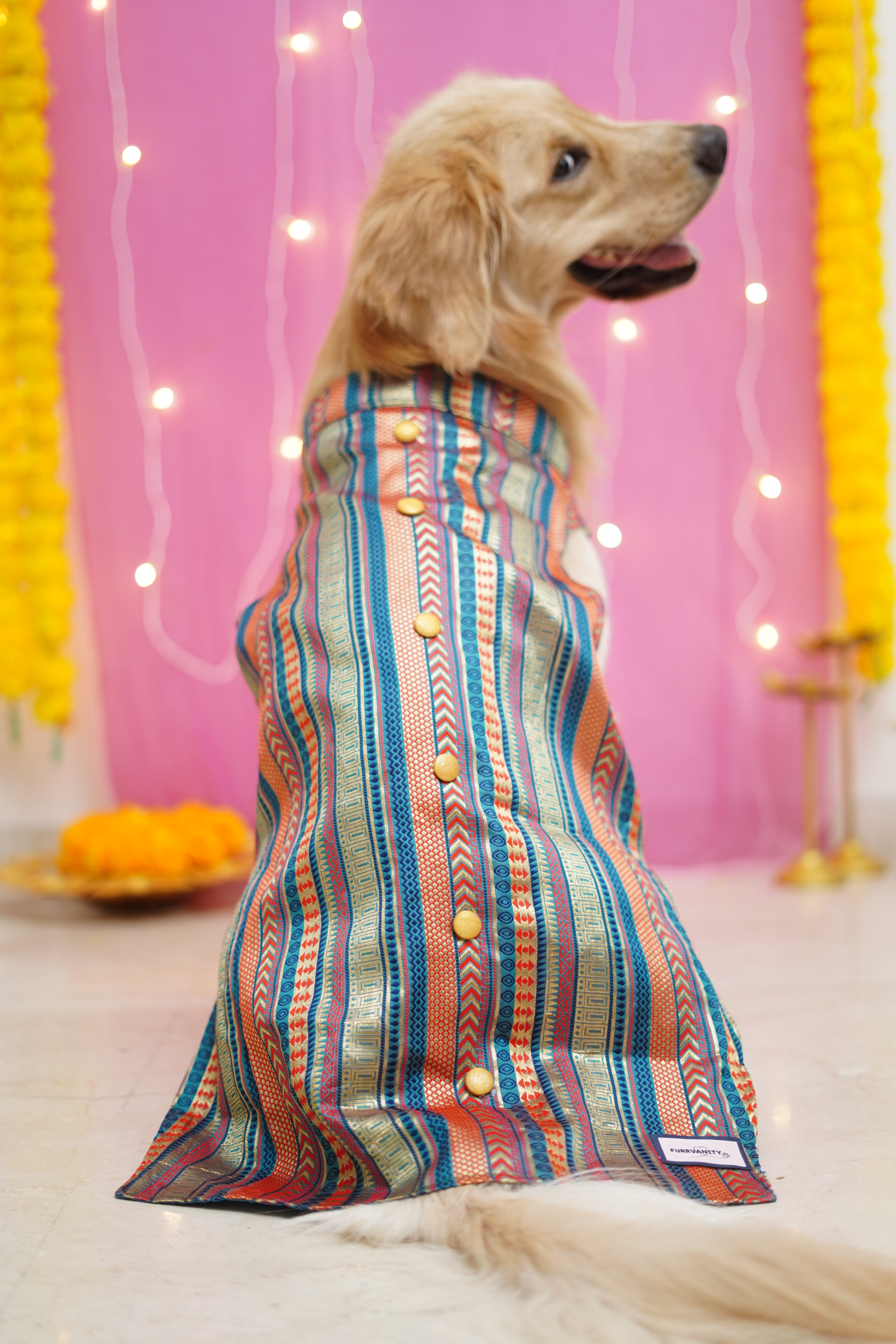 Blue brocade bandhgala