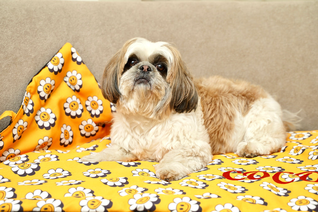Happy Daisy mat