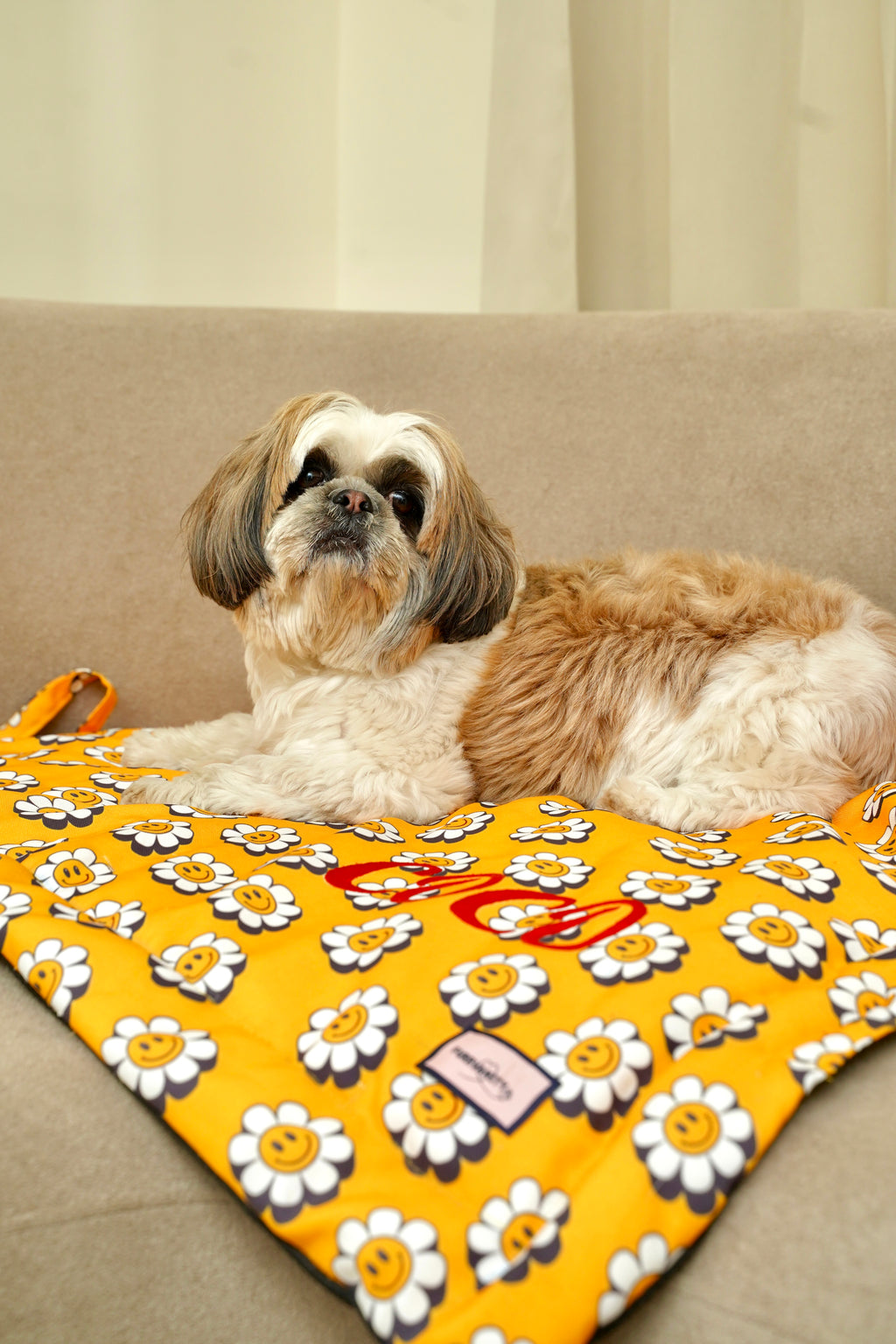 Happy Daisy mat