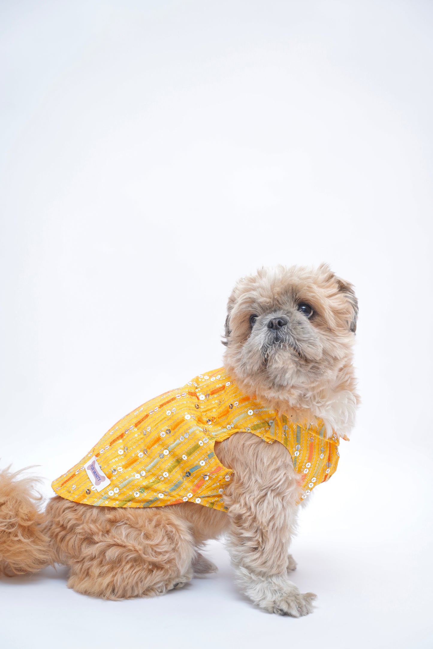 Yellow Multi Colour Sherwani