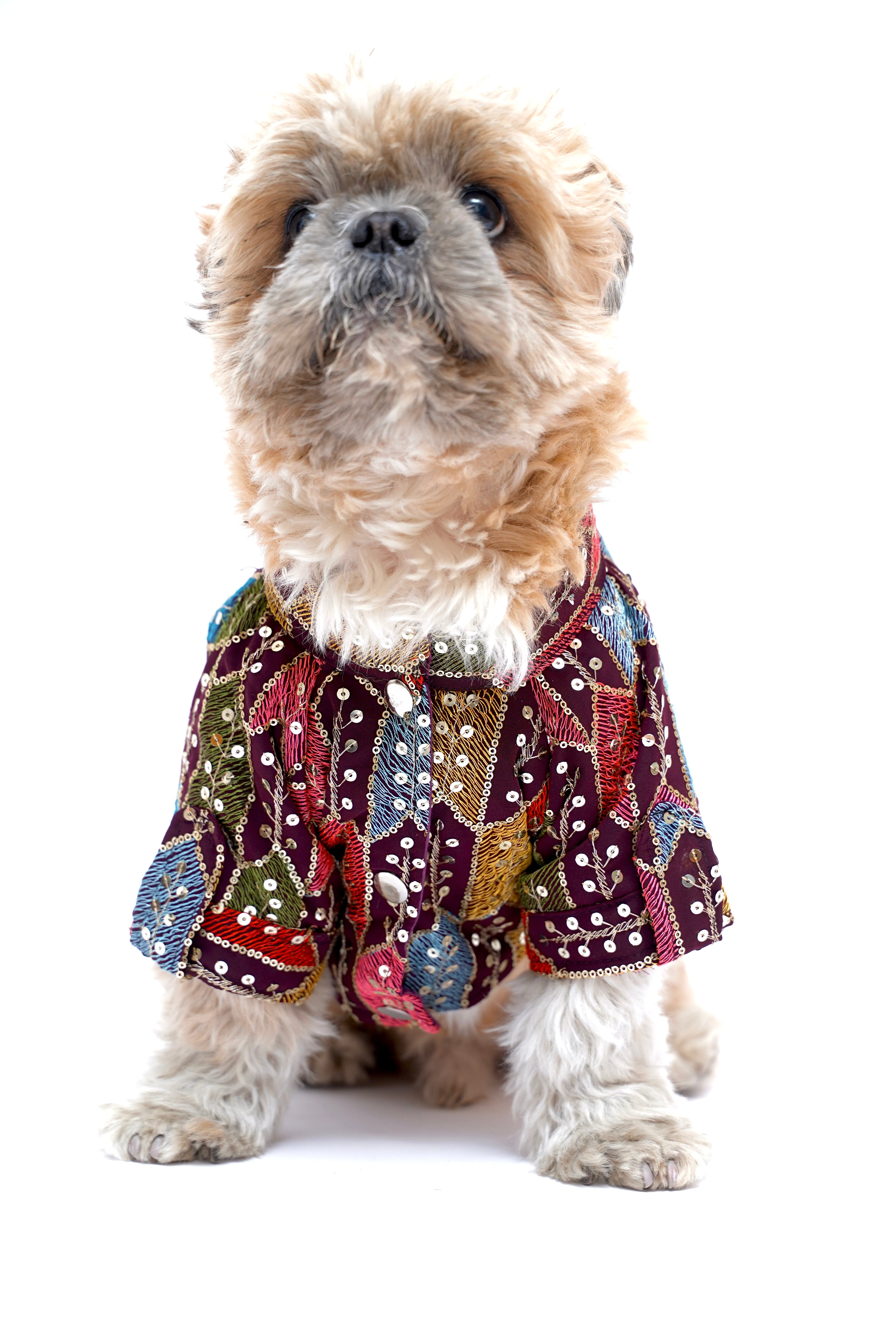 Wine Block Sequins Sherwani