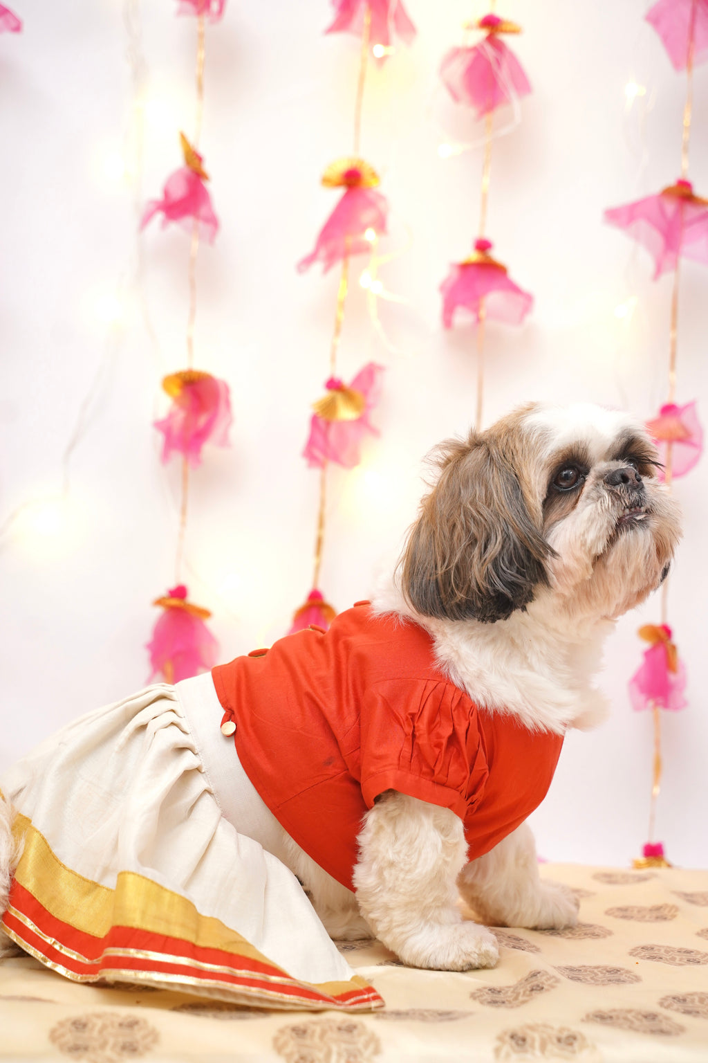 Red Golden lehenga choli