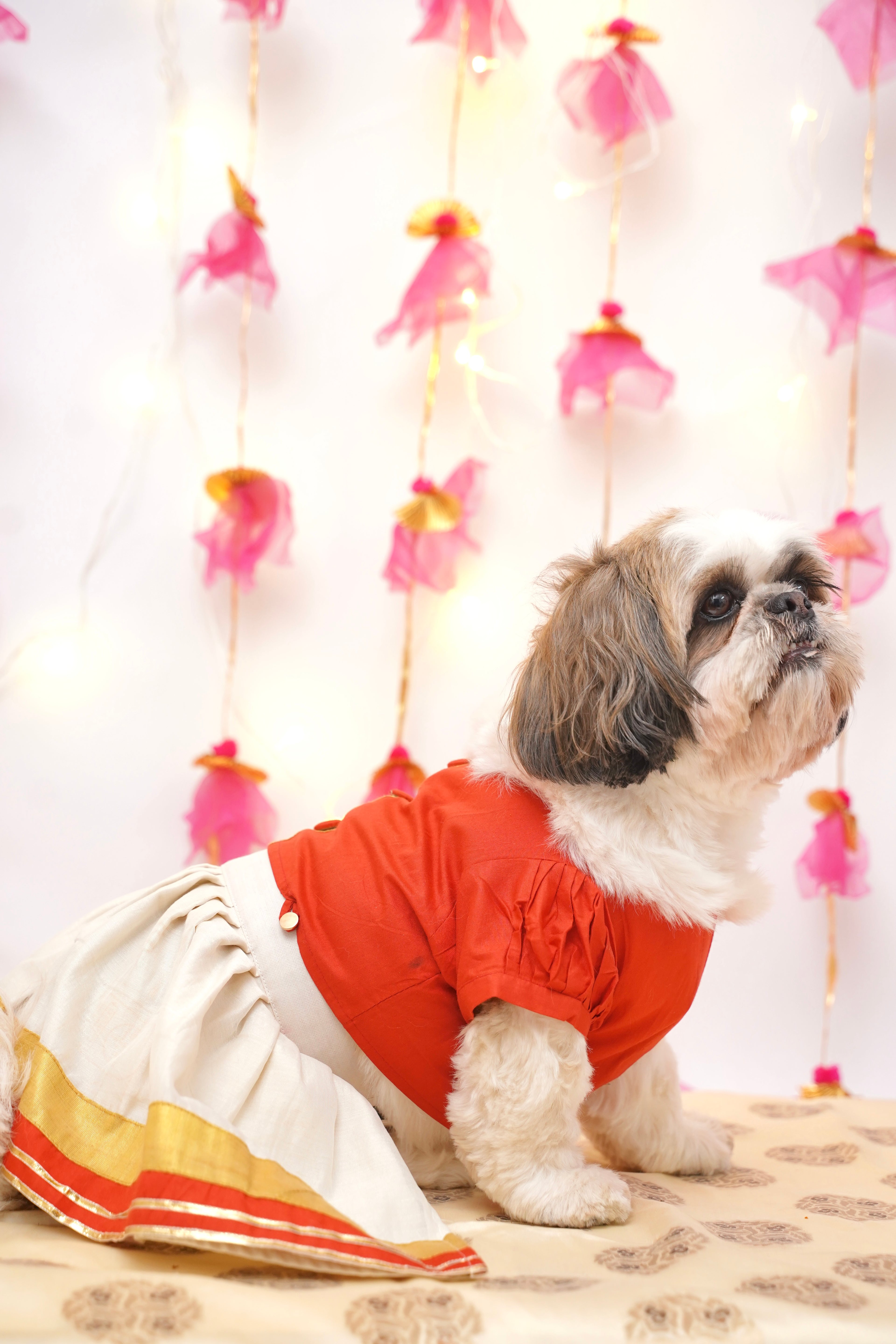 Red Golden lehenga choli