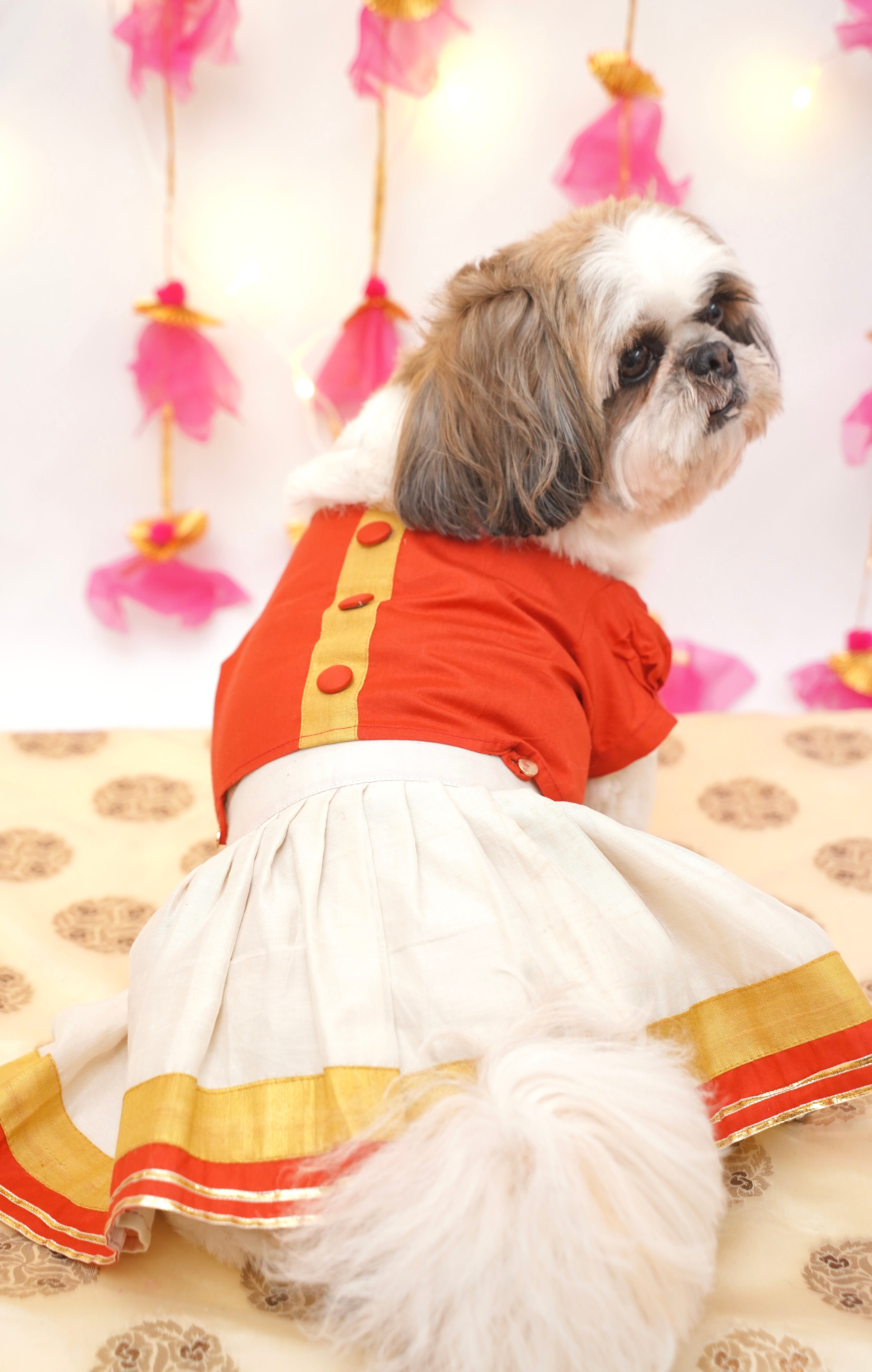 Red Golden lehenga choli