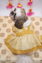 Golden anarkali dress