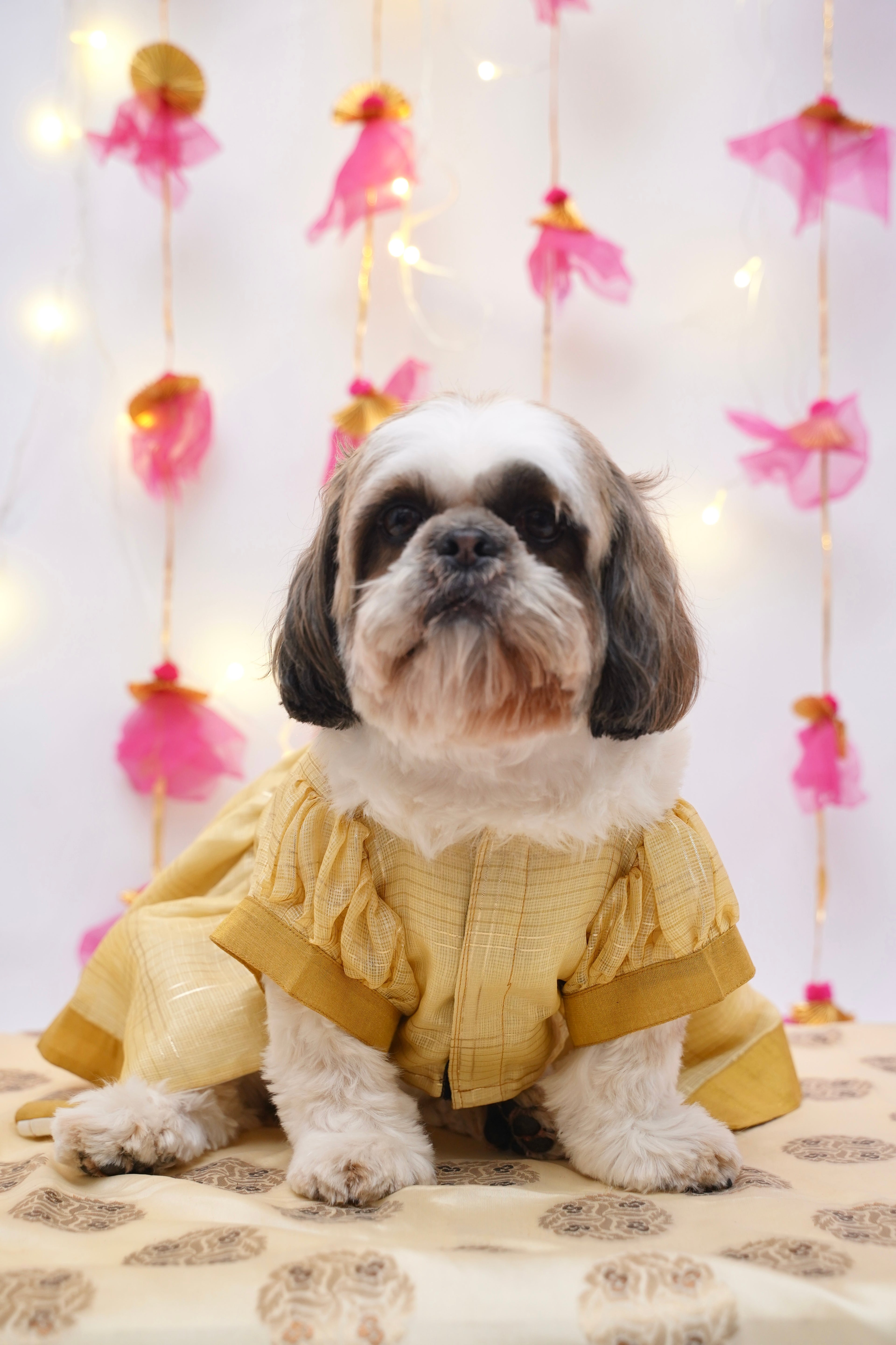 Golden anarkali dress