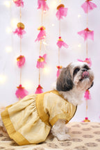 Golden anarkali dress