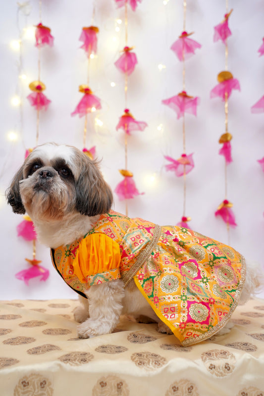 Kesari anarkali