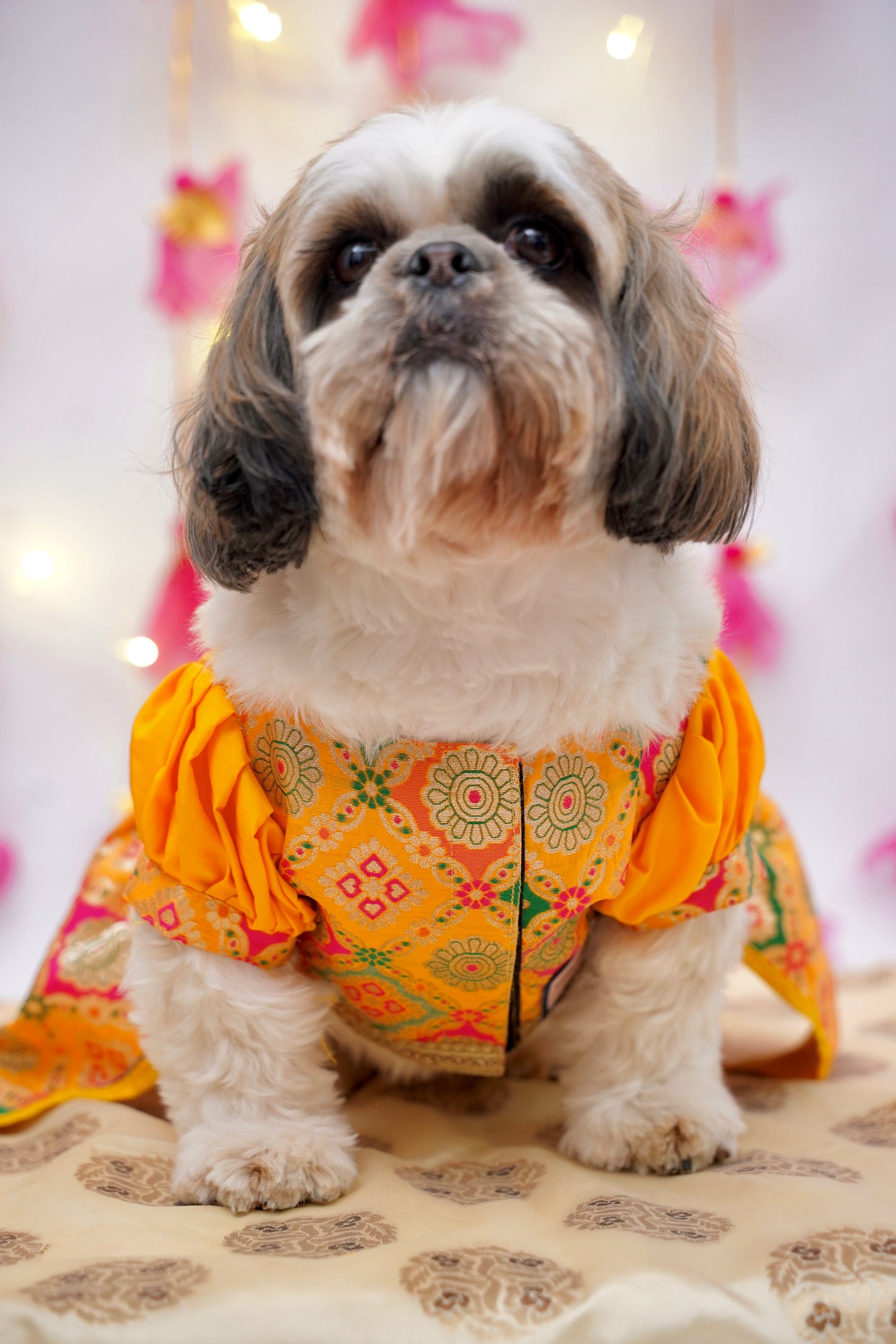 Kesari anarkali