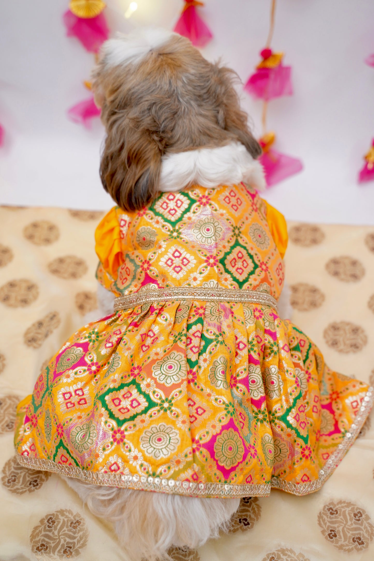 Kesari anarkali