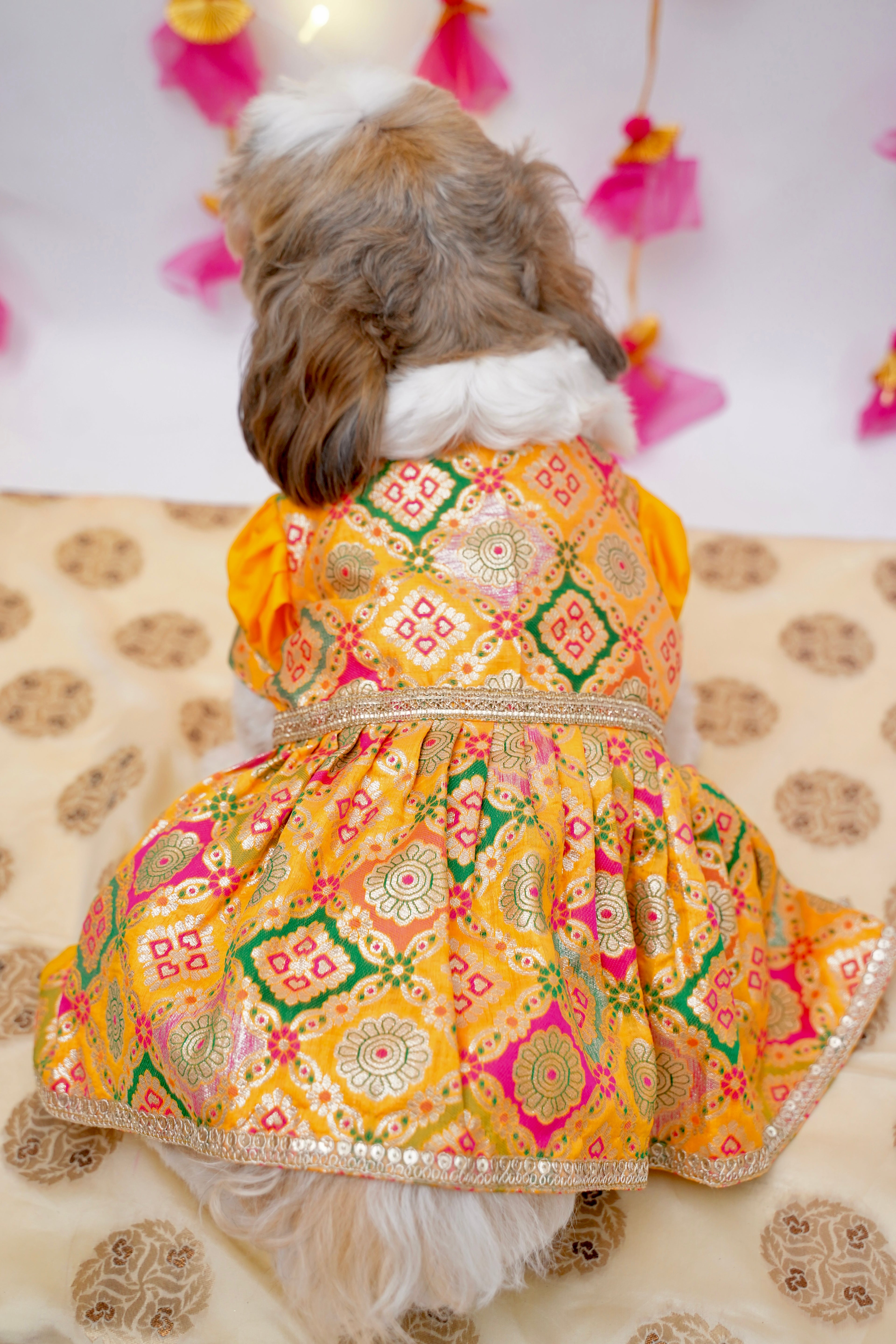 Kesari anarkali