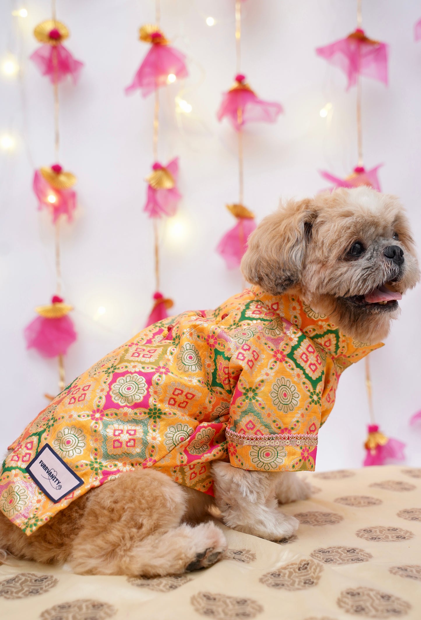 Kesari Sherwani