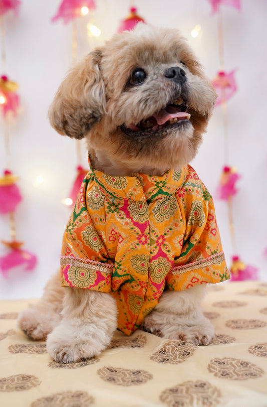 Kesari Sherwani