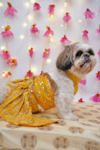 Yellow Gulnoor Lehenga