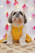 Yellow Gulnoor Lehenga