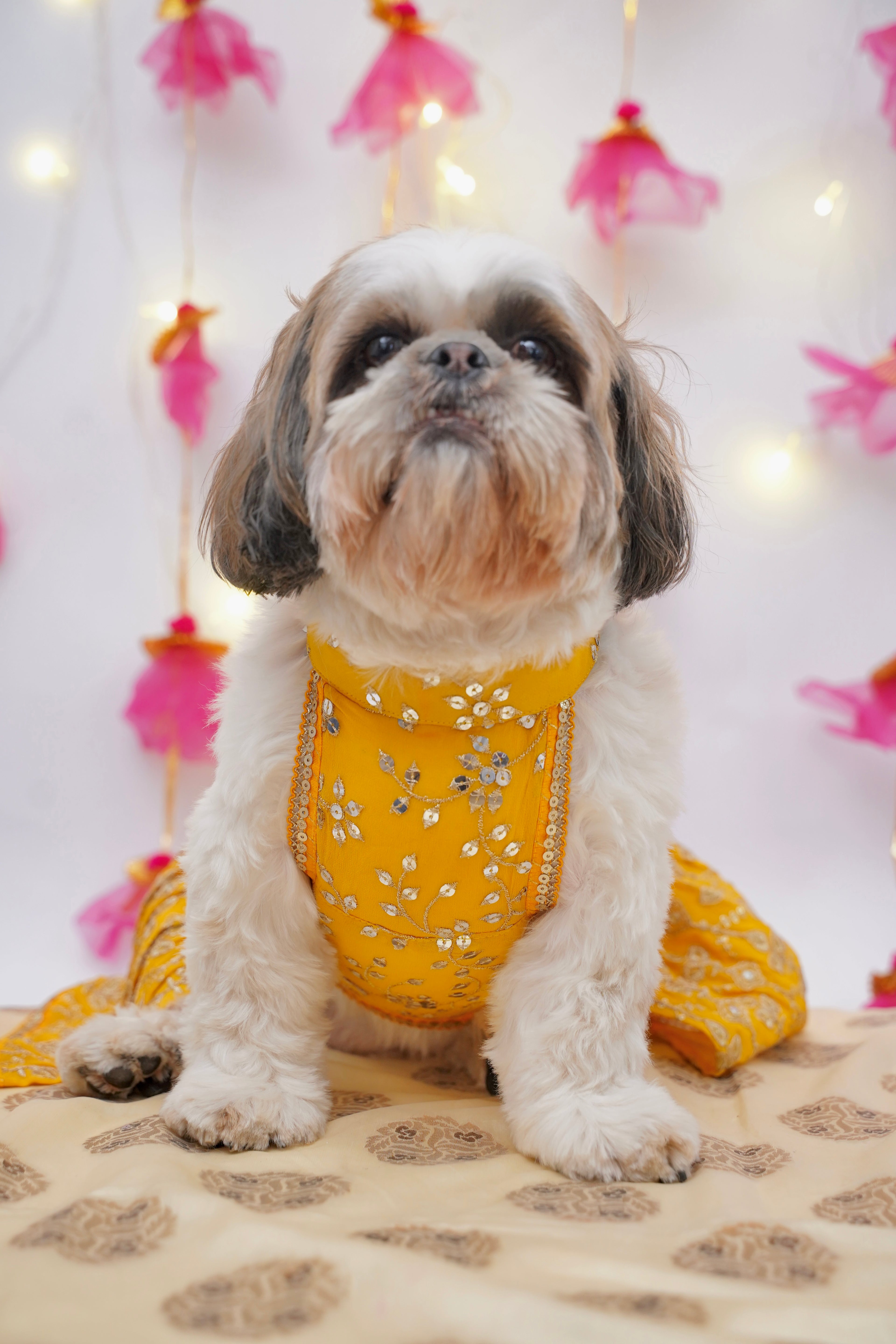 Yellow Gulnoor Lehenga