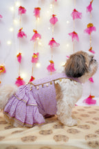 Lilac chikankari Lehenga