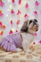 Lilac chikankari Lehenga