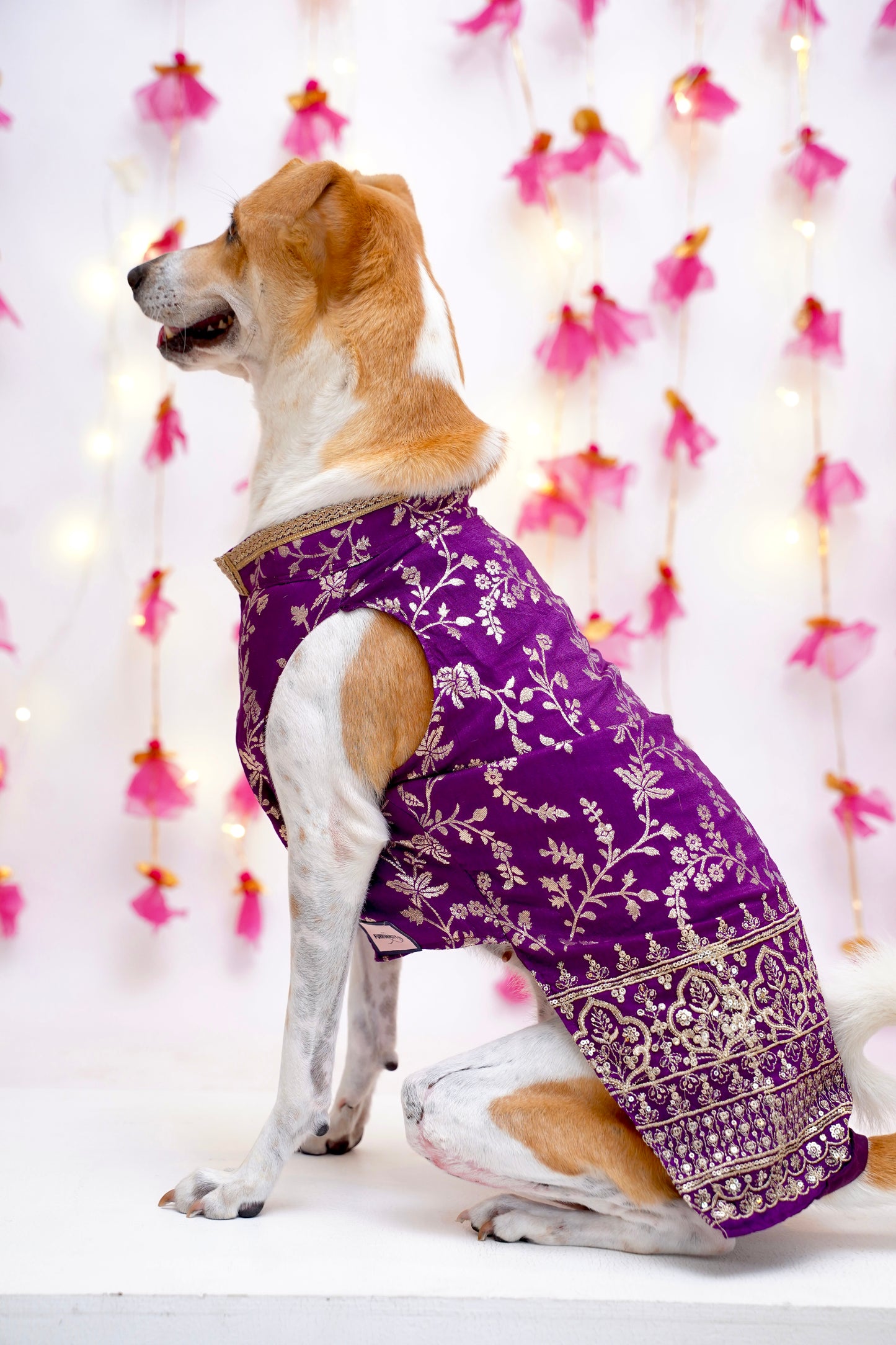 Amira purple bandhgala
