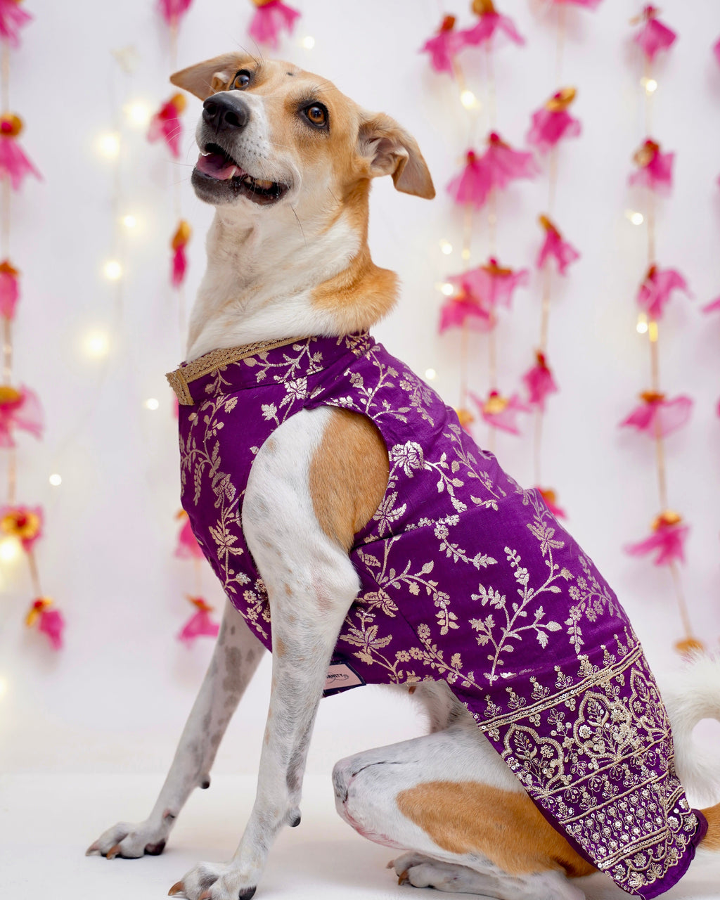 Amira purple bandhgala