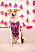 Amira purple bandhgala