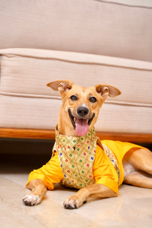 Yellow kurta with Basanti jacket