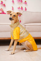 Yellow kurta with Basanti jacket