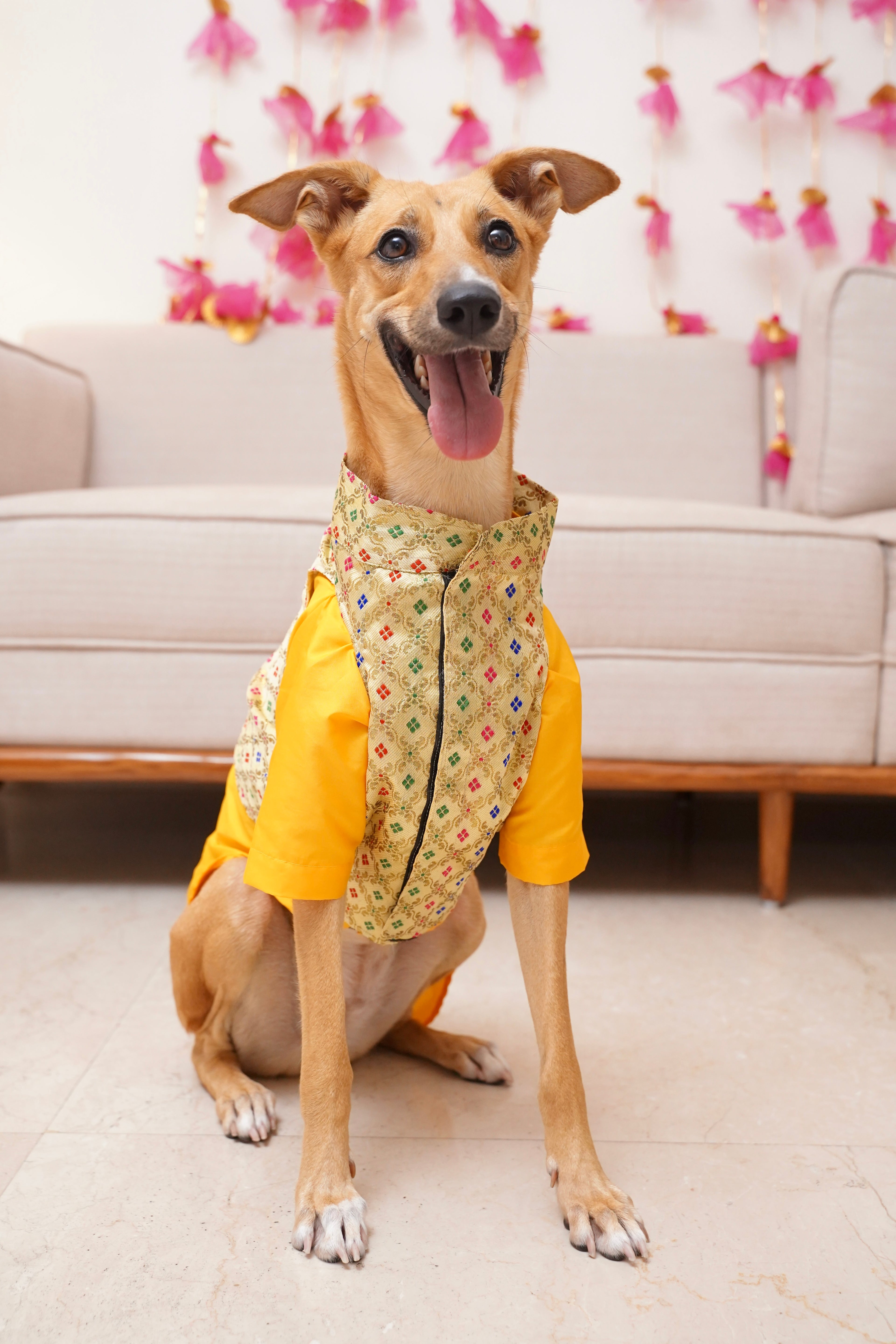 Yellow kurta with Basanti jacket