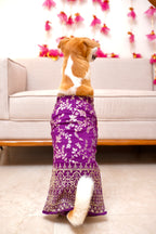 Amira purple bandhgala