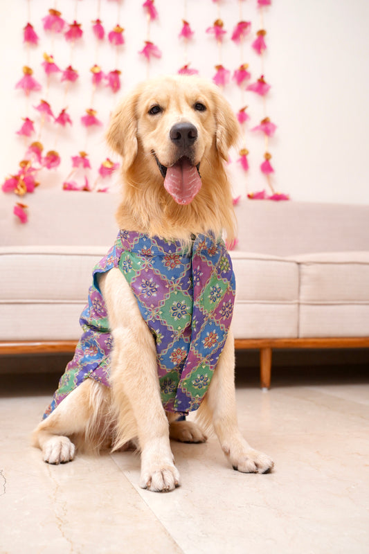 Royal rangoli pastel bandhgala
