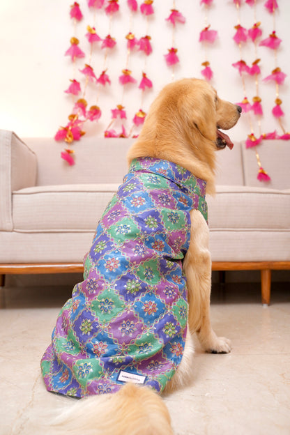 Royal rangoli pastel bandhgala