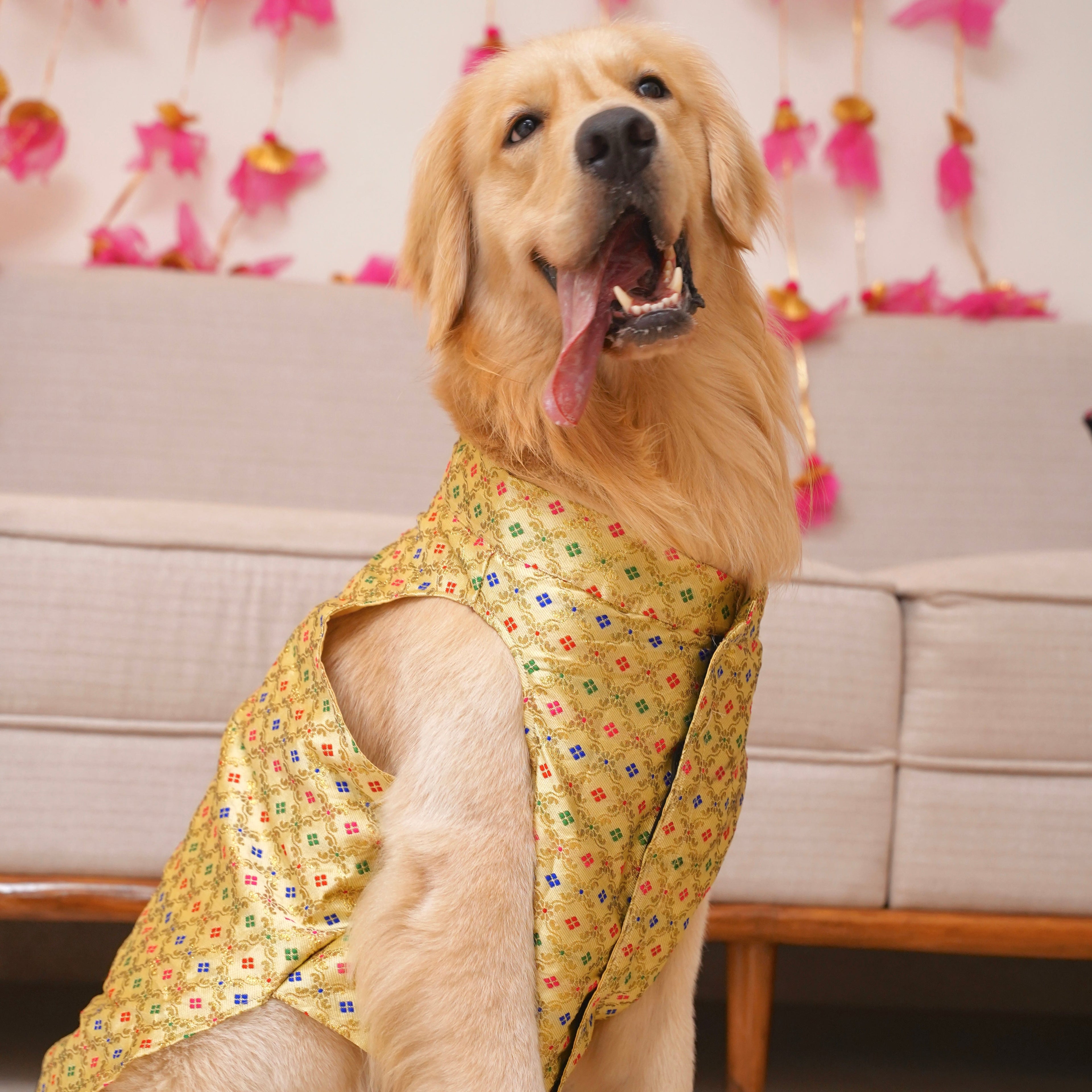 Golden zari Bandhgala