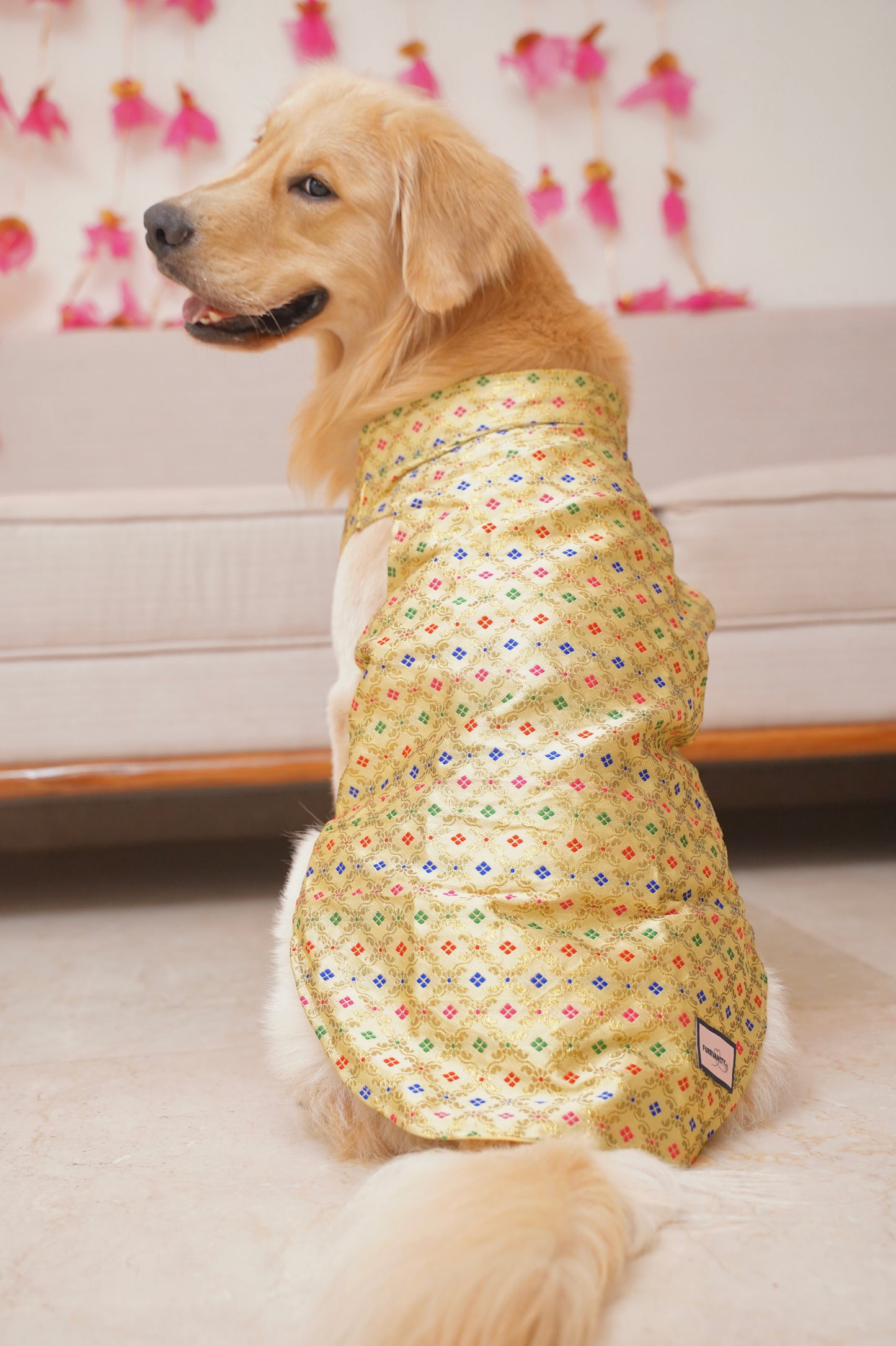 Golden zari Bandhgala