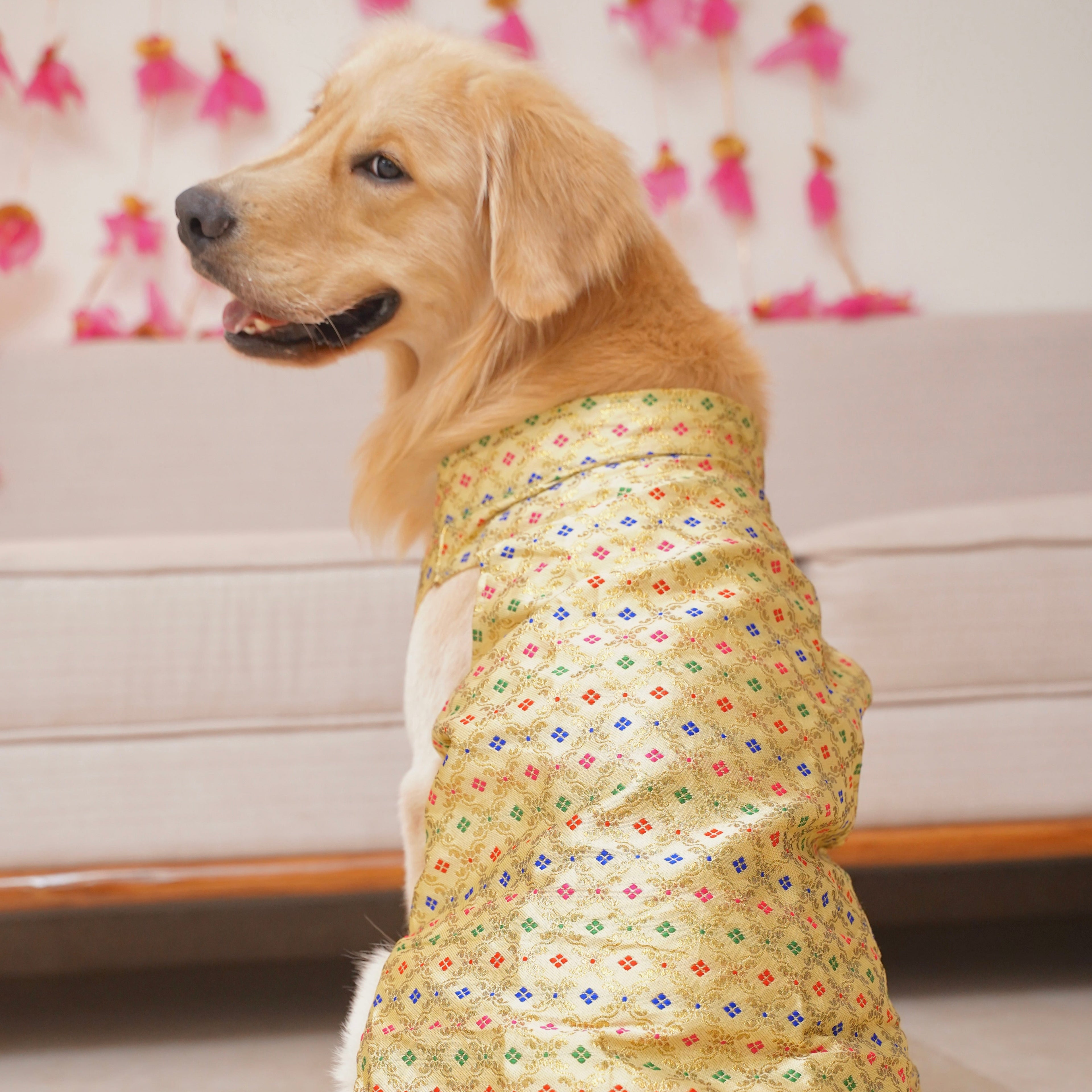 Golden zari Bandhgala