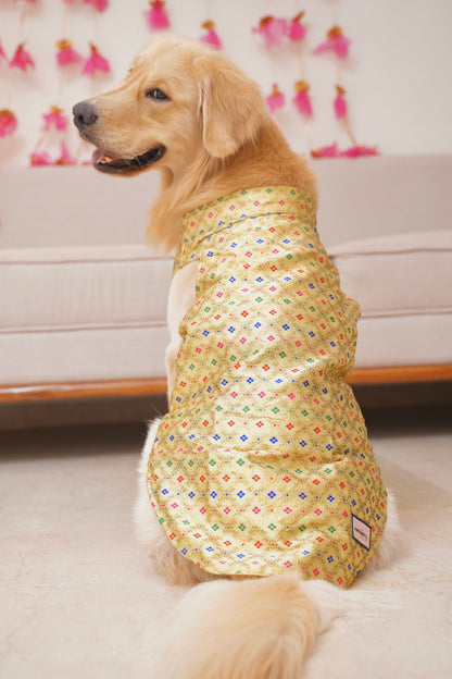 Golden zari Bandhgala