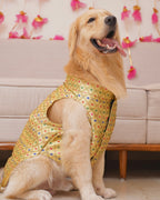 Golden zari Bandhgala