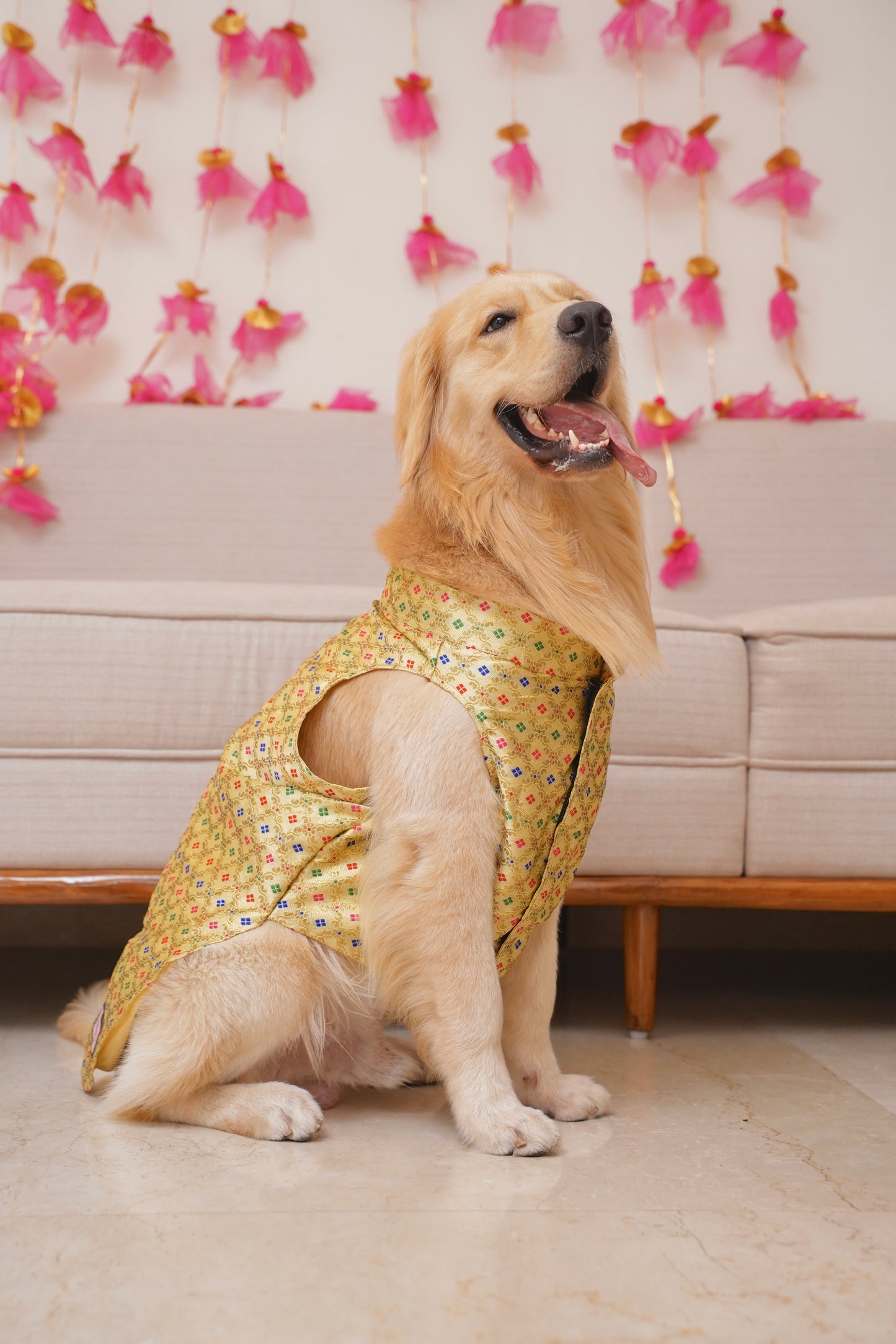 Golden zari Bandhgala