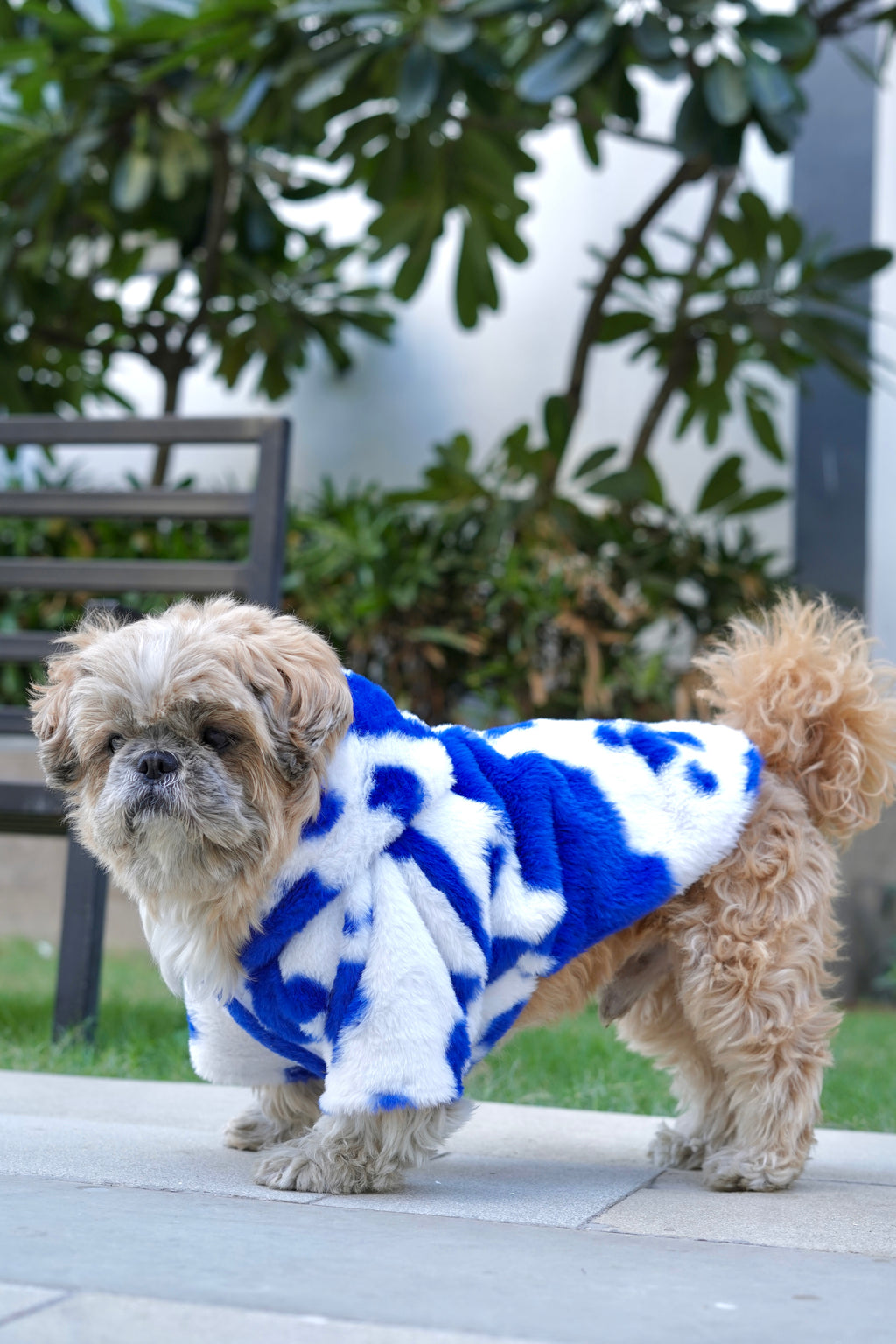 Blue white fur hoodie