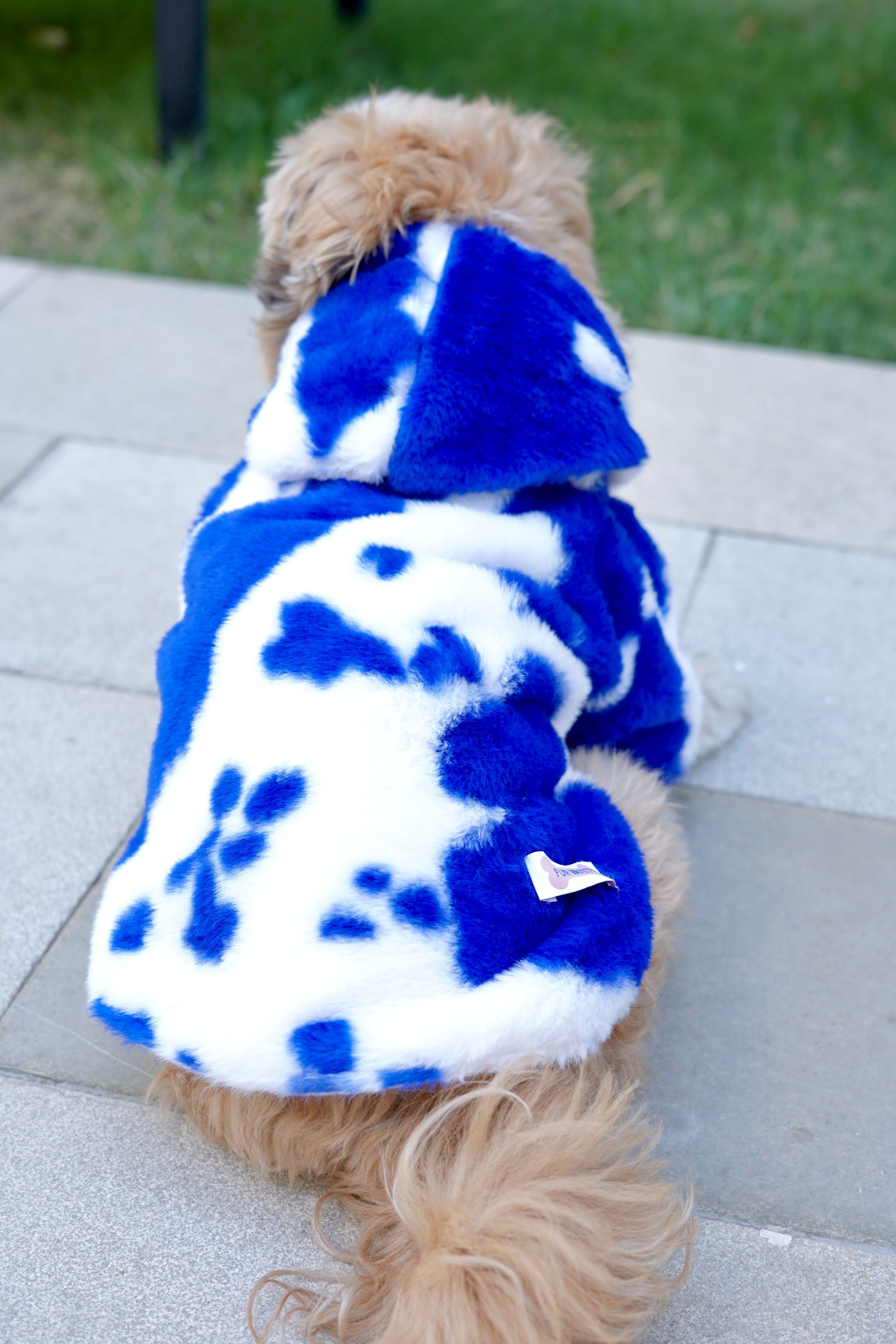 Blue white fur hoodie