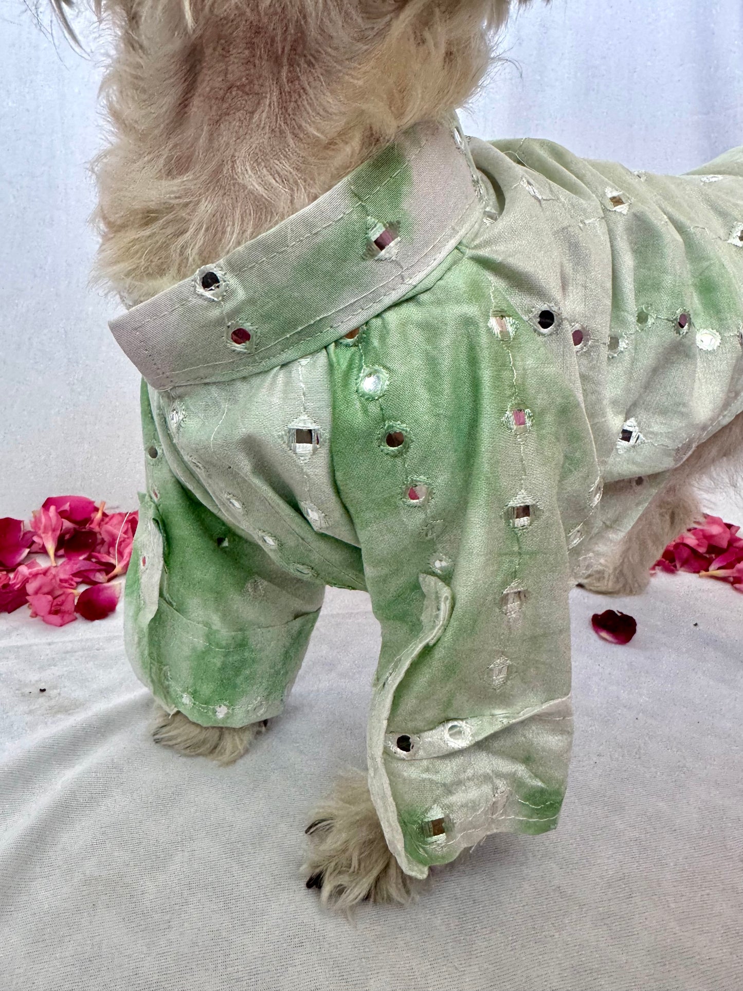 Pastel green mirror chanderi kurta