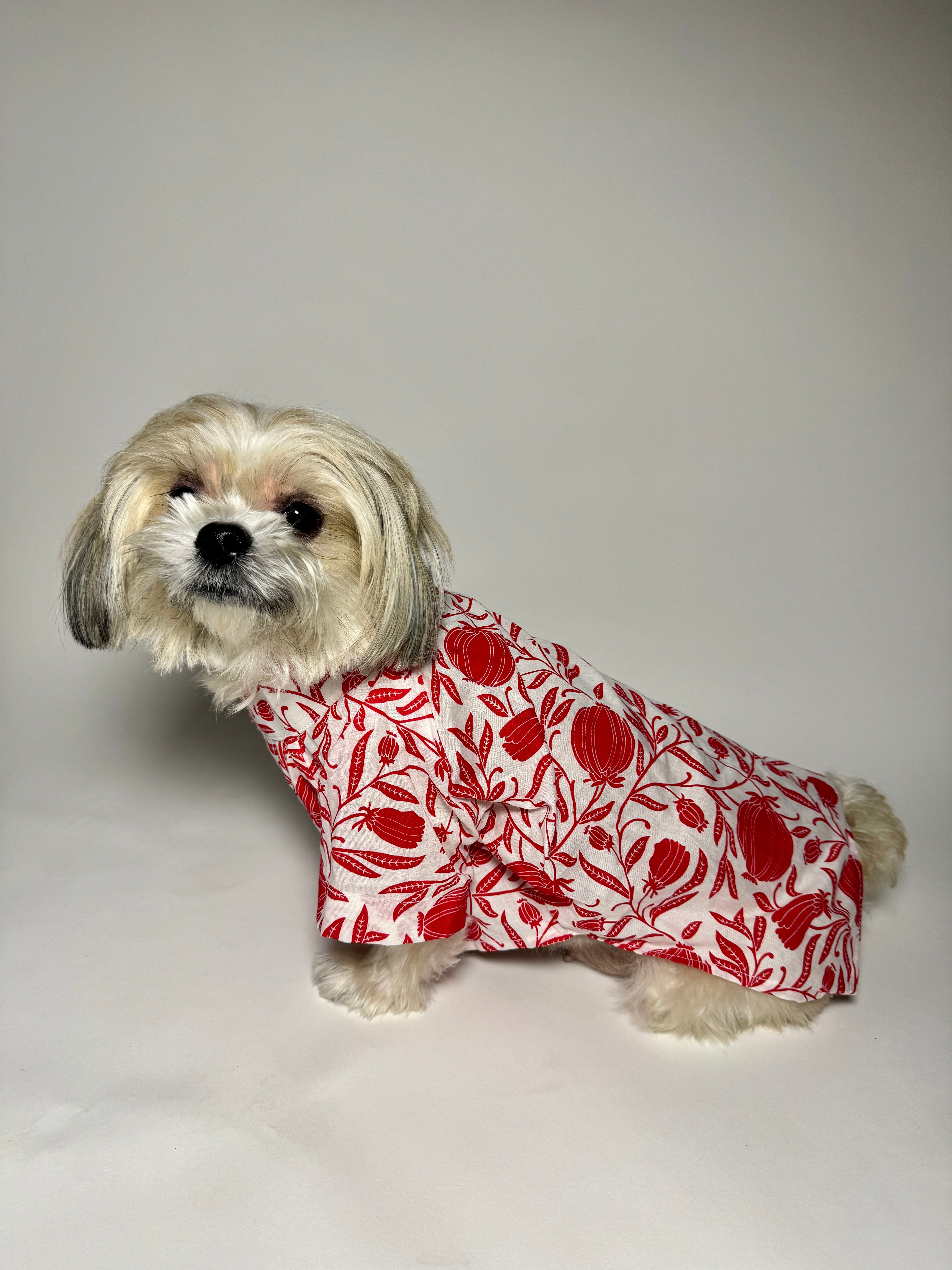 Taamara cotton kurta