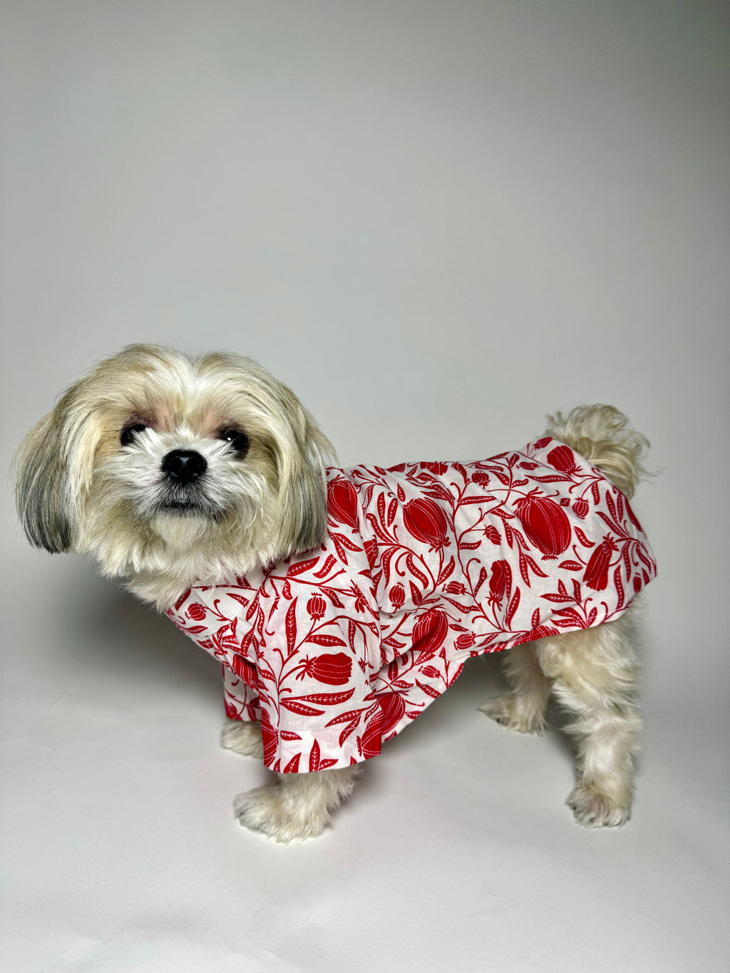 Taamara cotton kurta