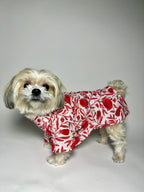 Taamara cotton kurta