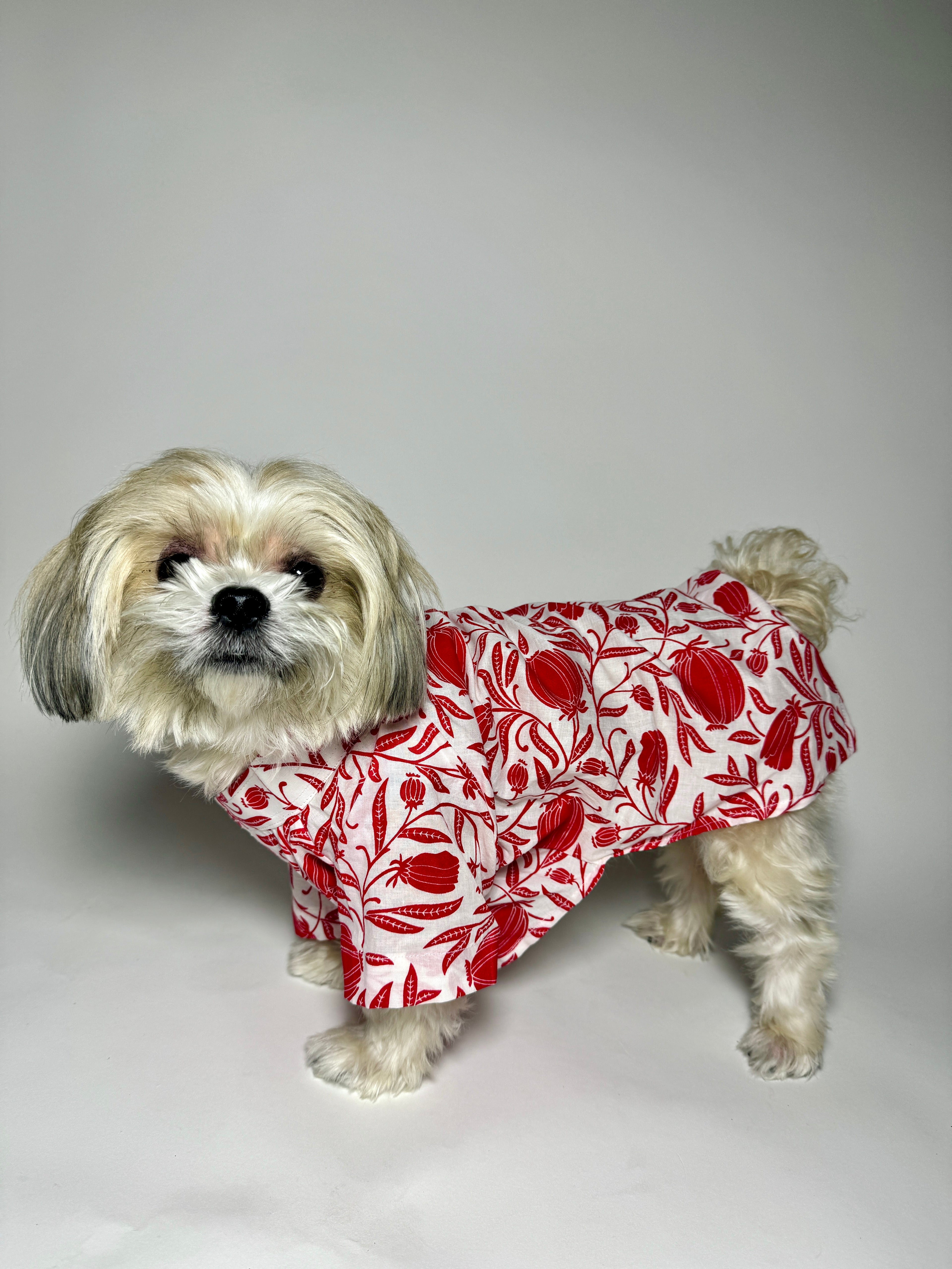 Taamara cotton kurta