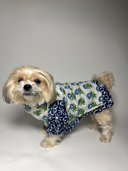 Indira cotton bandhgala with Indigo kurta