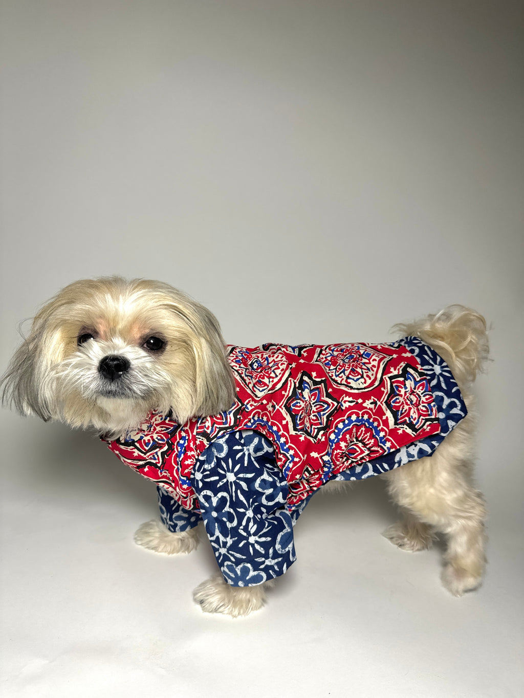Rangini cotton bandhgala with Indigo kurta
