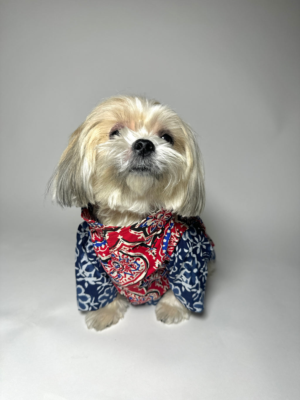 Rangini cotton bandhgala with Indigo kurta