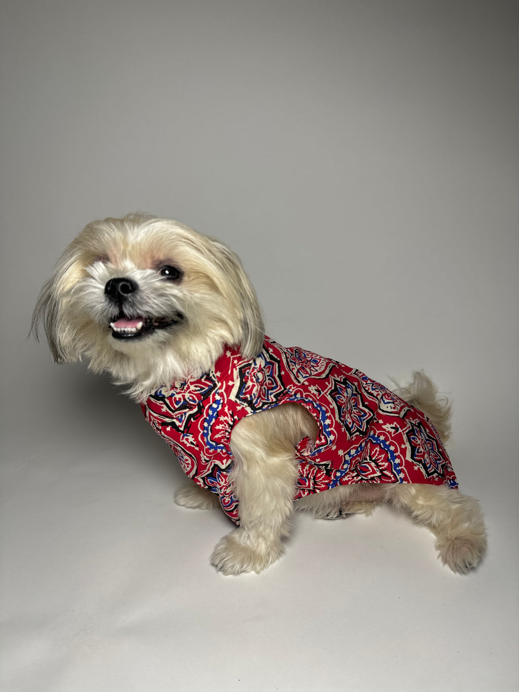 Rangini cotton bandhgala