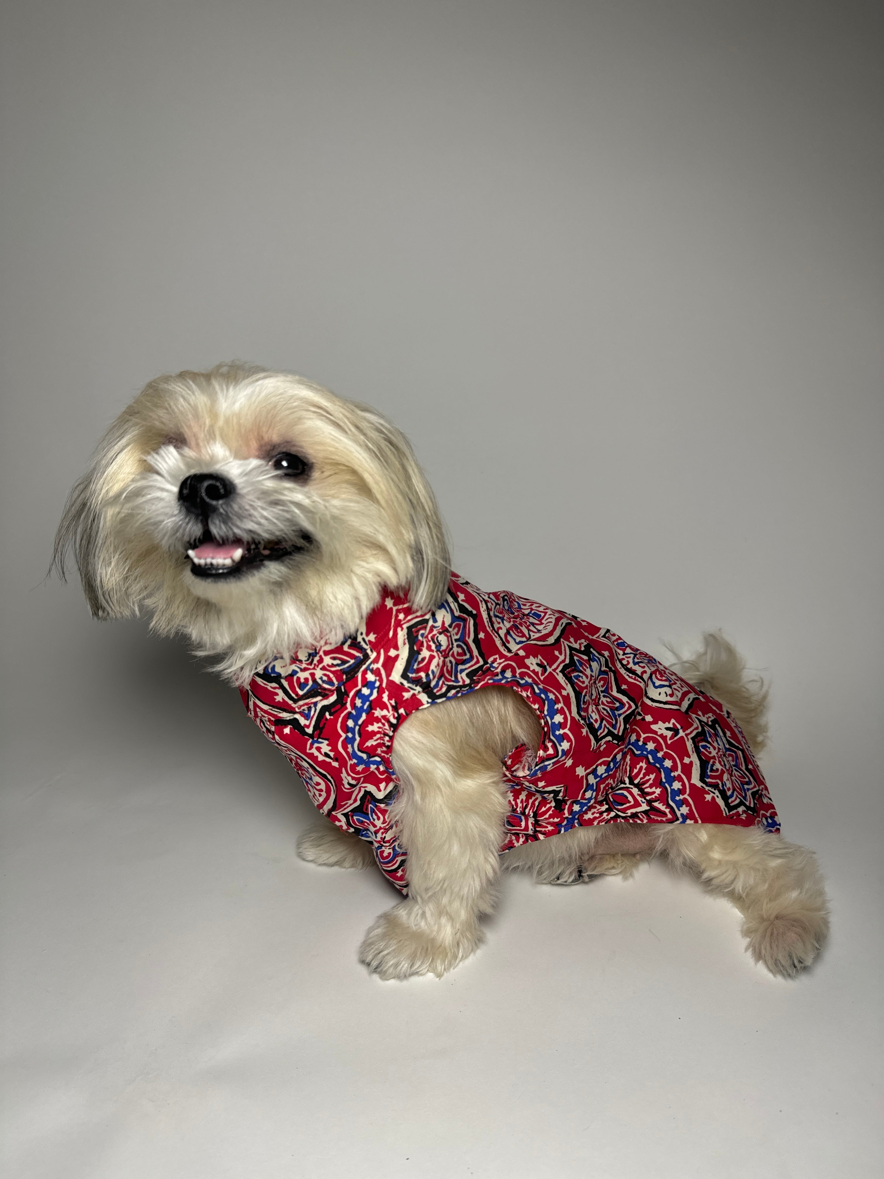 Rangini cotton bandhgala